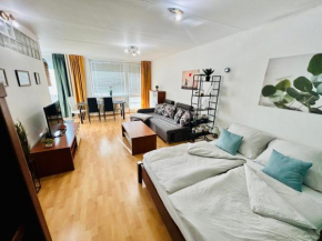 Sunny Apartment Vojenska - Old Town